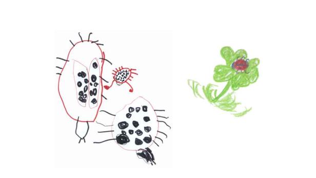 Eine Kinderzeichnung mit stilisierten Insekten und einer grünen Blume.