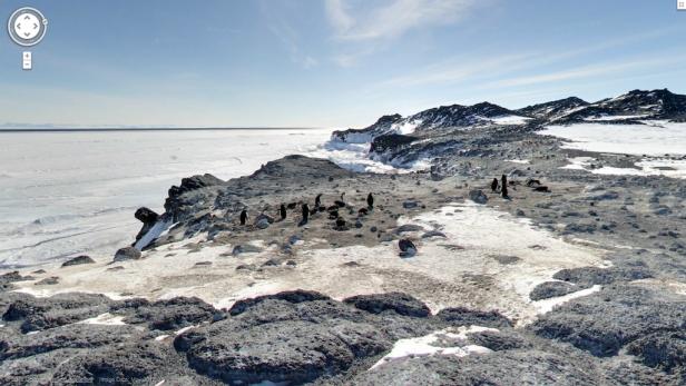 Eine Gruppe Pinguine steht auf einer felsigen, schneebedeckten Küste in der Antarktis.