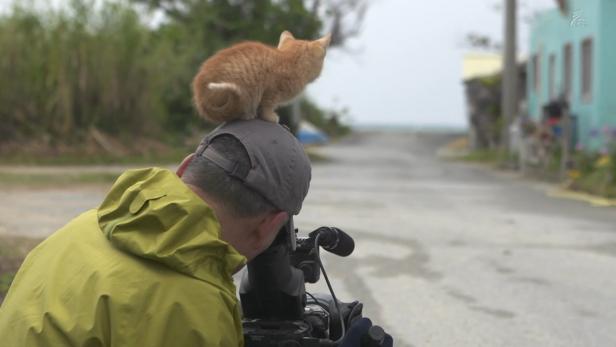 Während sich ein Kameramann muss, kann ein kleines Kätzchen ohne Probleme auf ihm herumturnen.