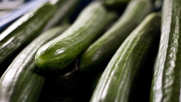 Mehrere grüne Gurken liegen nebeneinander.