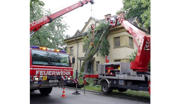 Windhose in Podgoria: "Alles hat gesurrt und gescheppert"