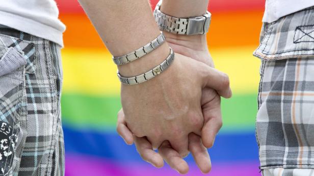 Die Gleichstellung homosexueller Partnerschaften ist an sich politischer Konsens - am Adoptionsrecht scheiden sich aber die Geister.