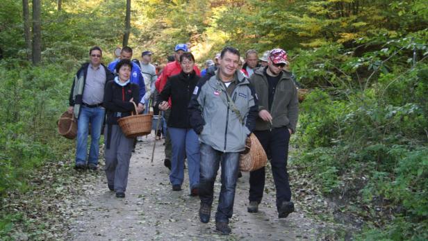 Naturführer Toni Moravec veranstaltet wieder Führungen für naturbegeisterte Schwammerlsucher im Naturpark Rosalia-Kogelberg