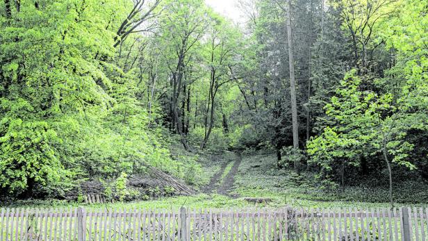 Bauplatz FF Weidling