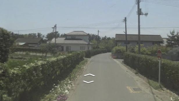 Eine ländliche Straße mit Häusern und üppigen Hecken in Japan.