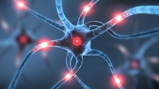 Eine stilisierte Darstellung von Neuronen mit roten Akzenten.