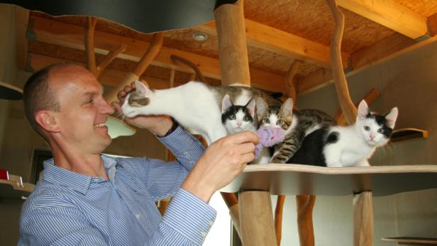 Wolfgang Böck, Leiter des Tierschutzhauses Sonnenhof, und sein 12-köpfiges Team haben mit Katzenbabys derzeit alle Hände voll zu tun