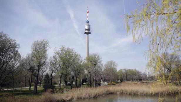 Der Wiener Donauturm ragt über eine Parklandschaft mit einem kleinen See auf.