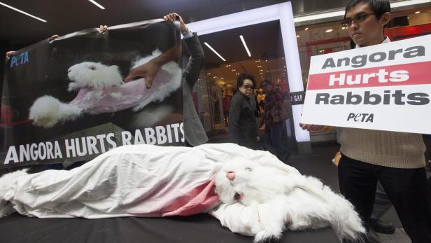 Aktivisten demonstrieren gegen die Angorawollproduktion mit Plakaten und einem toten Kaninchen.