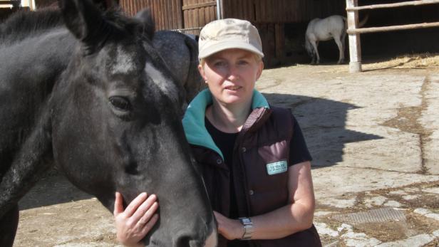 Schockiert: Gabriele Haslmayr betreut auf ihrer Ranch 14 Pferde und hofft, dass nach dem brutalen Übergriff bald wieder Ruhe einkehrt.