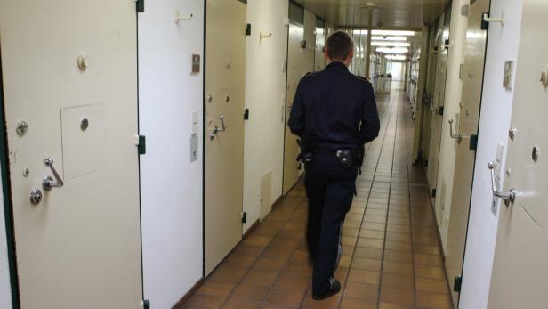 Österreichs Gefängnisse: Zahlen und Fakten