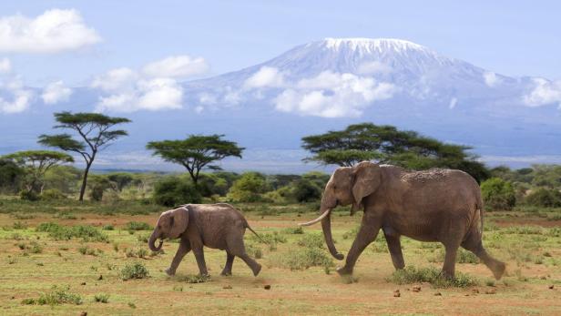In Tansania Afrikas Wildnis mit Komfort erleben