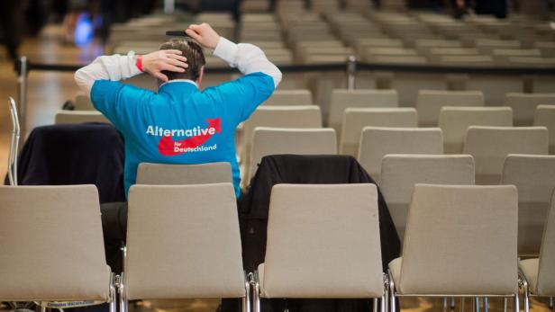 Höhenflug: AfD-Anhänger