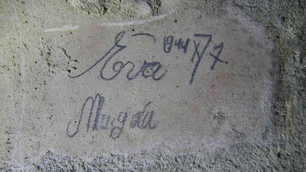 46-45784496.jpg