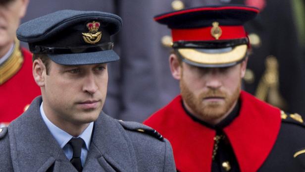 Royals trauern um Antarktis-Forscher Henry Worsley.