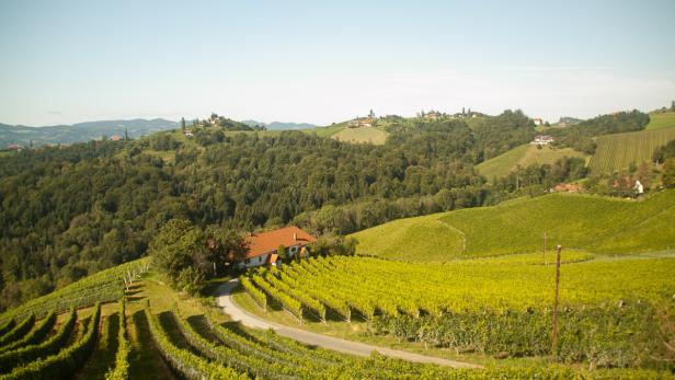 Eine malerische Landschaft mit Weinbergen und einem Haus mit rotem Dach.