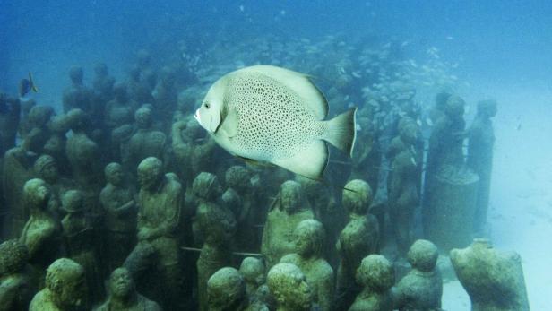 Ein grauer Fisch schwimmt vor einem Unterwasser-Skulpturenpark.