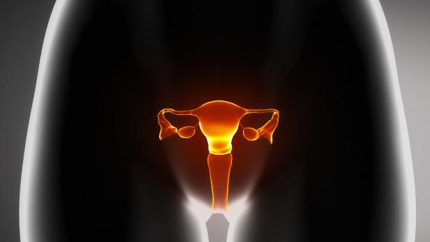 Eine stilisierte Darstellung einer Gebärmutter mit Eileitern und Eierstöcken.