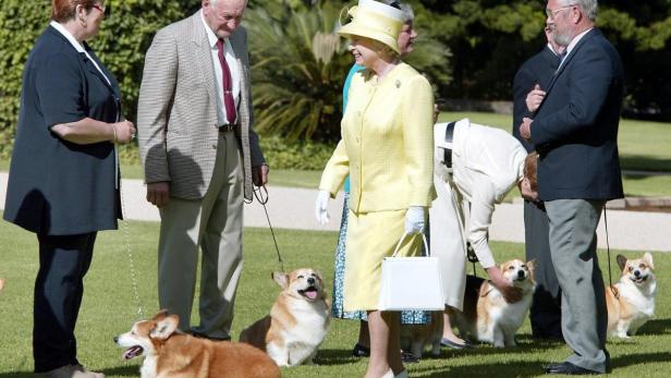 Queen Elizabeth II und ihre Corgis.