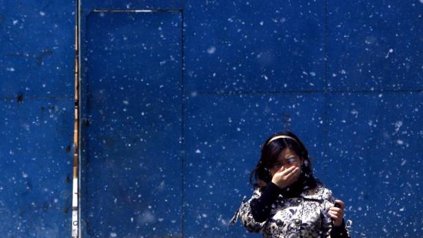 A woman tries to cover hear mouth as she walks through cotton-like seeds from Poplar trees, also known as Cottonwood trees, on a Spring day in Beijing April 14, 2008. The more than 300,000 Poplar trees in the Chinese capital are flowering and creating pollen, adding to Beijing&#039;s air quality problems  already under assault from industrial pollution and sandstorms  and making life for residents who suffer from allergies and asthma even harder. REUTERS/David Gray (CHINA)