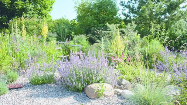 Ein naturnaher Garten mit blühenden Pflanzen und einem kleinen Tisch mit Stühlen.