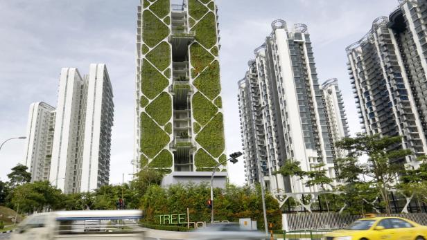 2.300 Quadratmeter Fläche Grünfläche umspannen den Wohnturm in Singapur mit dem passenden Namen &quot;Tree House&quot;. Es ist laut &quot;Guinness Buch der Rekorde&quot; der weltgrößte vertikale Garten und bedeckt das Haus über 24 Stockwerke.