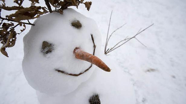 Ein Schneemann mit einer Karottennase und Ästen als Haare steht im Schnee.