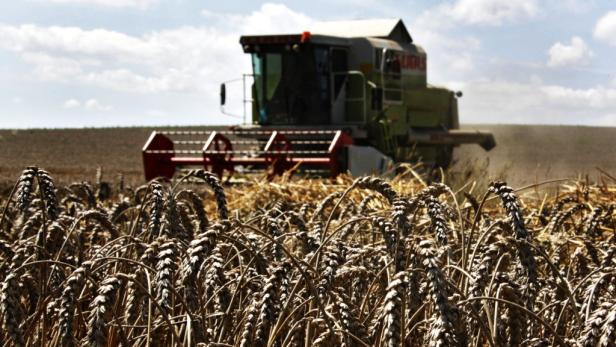 Rekord: Agrarexporte legten zweistellig zu