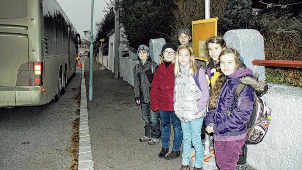 Hollabrunn: Busfahrt als tägliche Lotterie