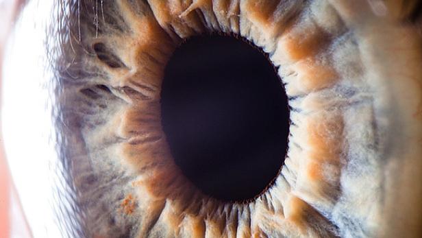 Nahaufnahme einer menschlichen Iris mit komplexen Mustern.