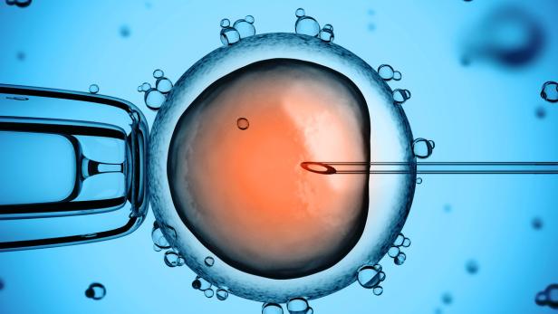 Künstliche Befruchtung: England erlaubt genetische Veränderung bei einigen Embryos