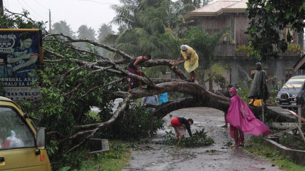 epa03495634 Filipinos try to cut branches off an uprooted tree amidst heavy rain in Tagum City, Davao del Norte province of the southern Philippines, 04 December 2012. Typhoon Bopha hit the southern Philippines on 04 December with strong winds and heavy rains that damaged power lines and roofing, and displaced at least 40,000 residents. The typhoon bore sustained winds of 175 kilometers per hour (kph), gusts of up to 210 kph and heavy rain, the Philippine Atmospheric Geophysical and Astronomical Services Administration said. More than 41,000 people had moved into nearly 1,000 government shelters across the island the civil defence office said. EPA/STR