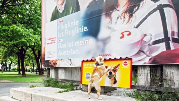 Ein Hund steht auf seinen Hinterbeinen vor einer Werbetafel.