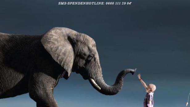 Ein Elefant berührt mit seinem Rüssel die Hand eines Kindes vor dunklem Himmel.