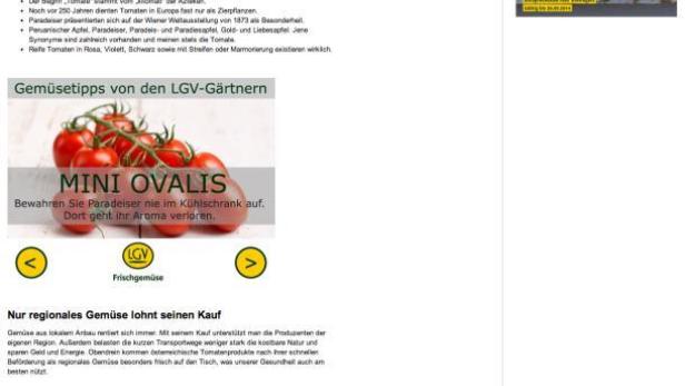 Eine Hand hält eine Gruppe reifer, roter Paradeiser (Tomaten).