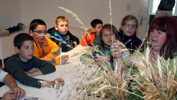 Eine Gruppe Kinder sitzt mit einer Frau an einem Tisch und betrachtet Getreideähren.