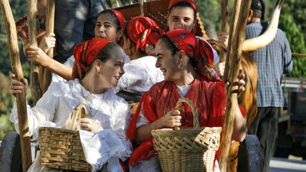 Frauen in Tracht fahren mit einem Ochsenkarren und halten Körbe in den Händen.