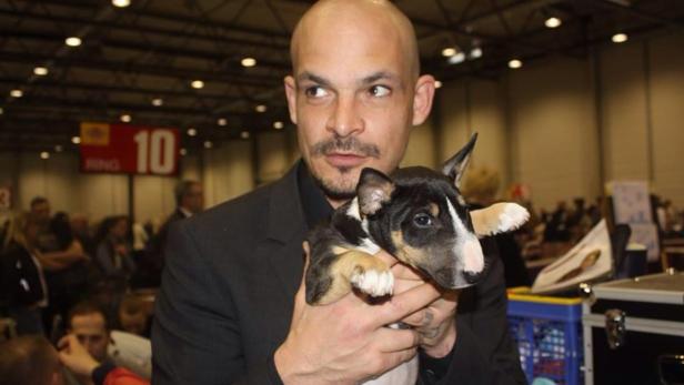 Ein Mann hält einen jungen Bullterrier im Arm.