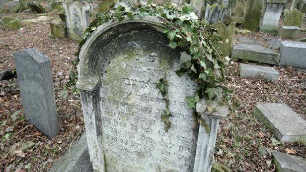 Der jüdische Friedhof Währing wurde 1784 gegründet und ist mittlerweile stark verfallen.