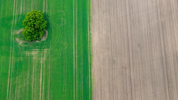 Satellit beobachtet Vegetation: Hoffnung für Landwirtschaft