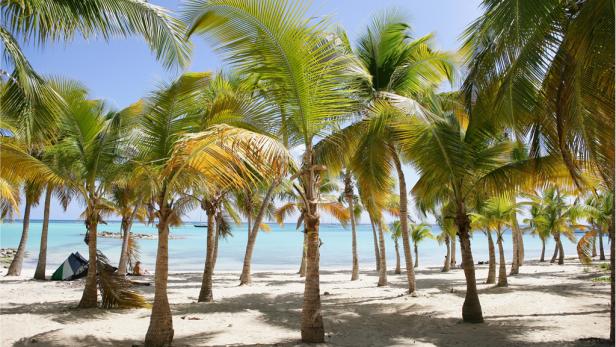 Palmen säumen einen weißen Sandstrand mit türkisfarbenem Wasser.