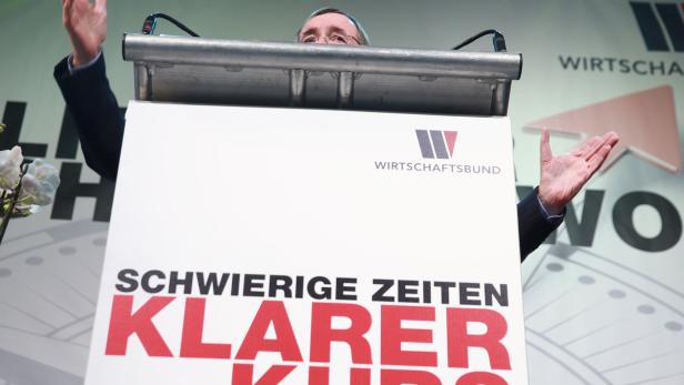 "Wirt ersetzt Psychiater": Wirbel um Leitl-Sager