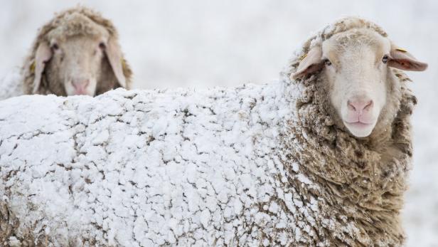 In Teilen Österreichs ist nochmal mit Schnee zu rechnen.