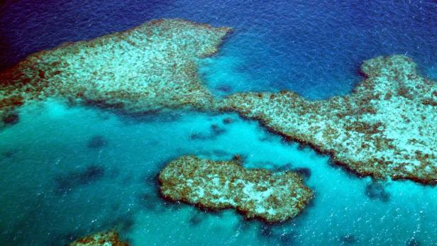 Great Barrier Reef Das australische Great Barrier Reef, das größte Korallenriff der Erde, kämpft ums Überleben. Das gigantische Schnorchelparadies vor der Küste Australiens leidet unter der Korallenbleiche. Hervorgerufen wird diese durch die globale Erwärmung und den Temperaturanstieg des Meerwassers. Die Korallen erkranken, bleiben aus und viele sterben anschließend ab.