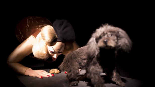 Eine Frau mit extravaganten Make-up und ein Pudel betrachten ein Hundekuchen.