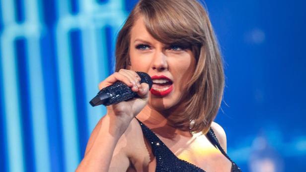 Aus Angst vor Stalkern ließ Taylor Swift bei einem Konzert die Besucher scannen.