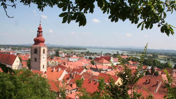 Blick über die roten Dächer von Ptuj in Slowenien mit Kirchturm und Drau im Hintergrund.