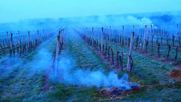 Frostbekämpfung mit Rauch - beispiel Weinbaugebiet Kamptal