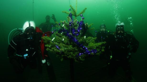 Auch heuer haben die Taucher des Tauchzentrum Neufeldersee wieder einen festlich geschmückten Christbaum auf die 8 Meter-Plattform gebracht der vom Bürgermeister der Stadtgemeinde Neufeld feierlich überreicht wurde.