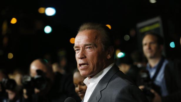 Arnold Schwarzenegger spricht vor einer Menschenmenge.
